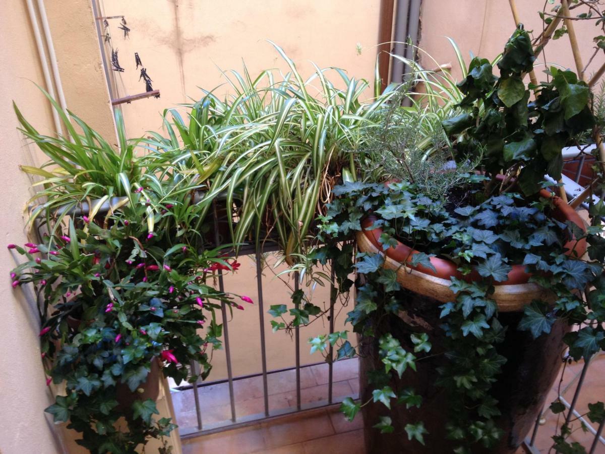 Oasis In The Heart Of Firenze Kültér fotó